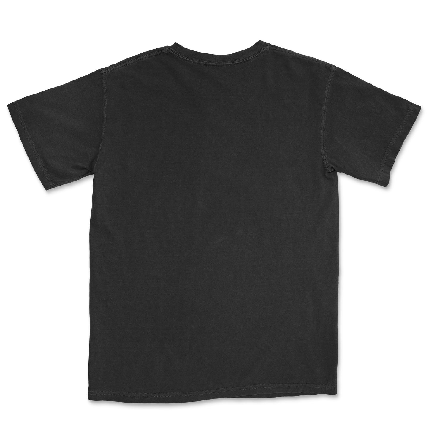 TrueRx Comfort Colors T-Shirt